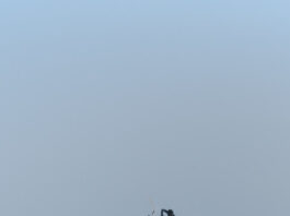 קורס גלישה למבוגרים